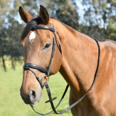 Kincade Classic Plain Raised Flash Bridle with Reins