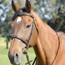 Kincade Classic Plain Raised Cavesson Bridle with Reins