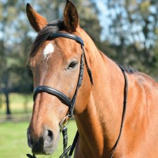 Kincade Classic Plain Raised Cavesson Bridle with Reins