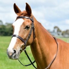 Kincade Classic Flat Hunt Bridle with Reins