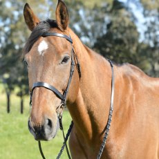 Kincade Classic Flat Hunt Bridle with Reins