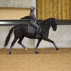 Aubrion Eltar Base Layer Grey Aubrion Eltar Base Layer Grey
