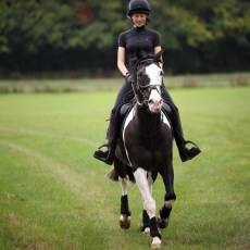 Aubrion React  Young Rider Short Sleeve Baselayer Shadow Aubrion React  Young Rider Short Sleeve Baselayer Shadow