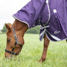 Shires Highlander Original 100 Combo Turnout Rug Plum