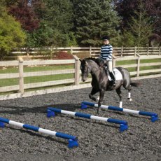 PolyJumps Mini Blocks & 5 Band Poles I Blue/White