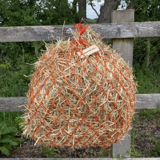 orange haynet 