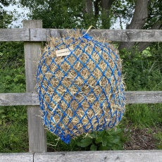 blue haynet 