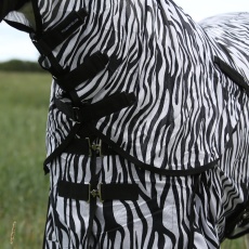zebra detail