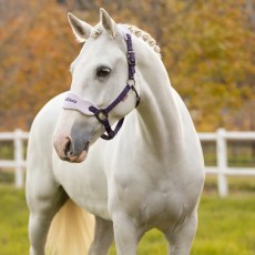 juniper headcollar 