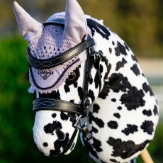 hobby horse 