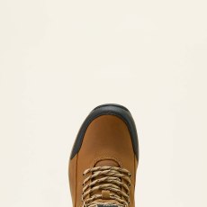 F25 WMS ENGL 10063868 toe warm
