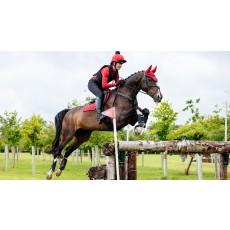 it07599 lifestyle suedeccsquare chilli 5