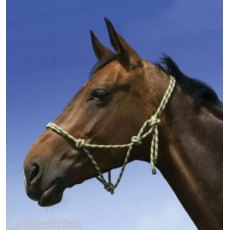 Rope Halter