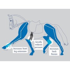 Prolite Performance Dressage Girth Prolite Performance Dressage Girth