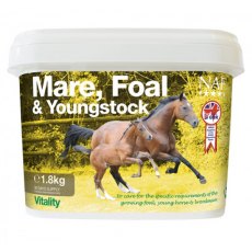 NAF Mare  Foal and Youngstock