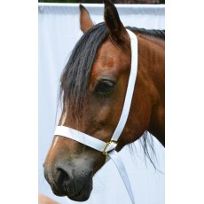 White Web Adjustable Showing Halter