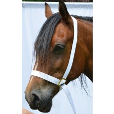 White Web Adjustable Showing Halter White Web Adjustable Showing Halter