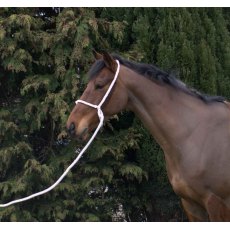 Traditional In Hand Rope Halter