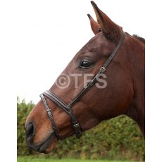 Townfields Padded Flash Noseband