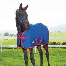 WeatherBeeta Original 1200D Foal Turnout Rug