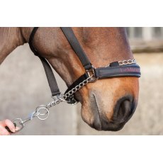 LeMieux Pro Safe Headcollar