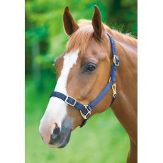 Shires Adjustable Headcollar