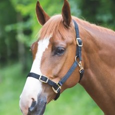 Shires Adjustable Headcollar