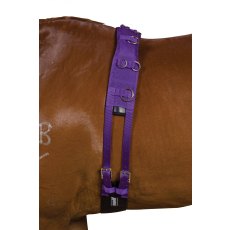 Kincade Deluxe Lunge Roller Kincade Deluxe Lunge Roller