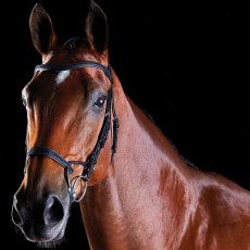 Collegiate ComfiTec Training Bridle