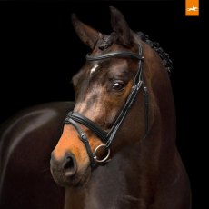 Schockemohle Tokyo Select Anatomic Snaffle Bridle