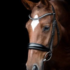 Schockemohle Slimford Anatomic Snaffle Bridle