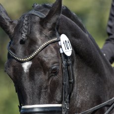 Equetech Bridle Competition Numbers Equetech Bridle Competition Numbers