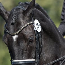 Equetech Bridle Competition Numbers