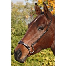 Kineton Noseband