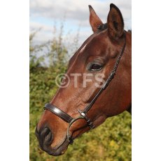 Townfields Lever Noseband