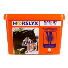 Horslyx