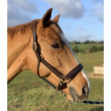 Townfields Essential Padded Leather Headcollar