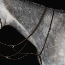 Collegiate Running Martingale Collegiate Running Martingale