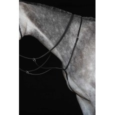 Collegiate Running Martingale