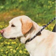 Weatherbeeta Rope Leather Slip Dog Lead