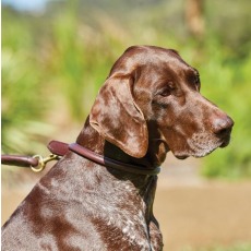 Weatherbeeta Rolled Leather Dog Collar Weatherbeeta Rolled Leather Dog Collar