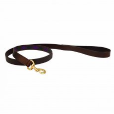 Weatherbeeta Polo Dog Lead