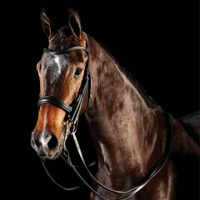 Collegiate Collegiate Comfitec Weymouth Bridle