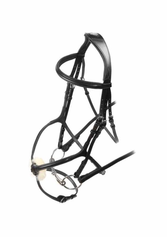 Velociti Rapida Grackle Bridle  Velociti Rapida Grackle Bridle