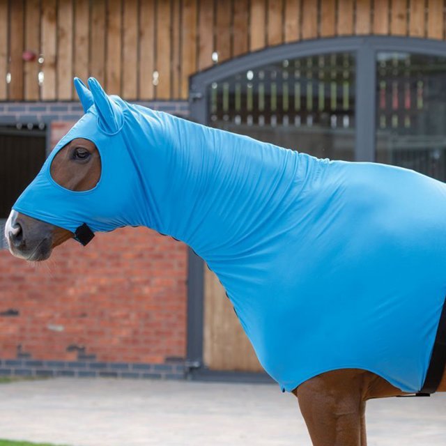 Shires Shires Stretch Hood with Full Face