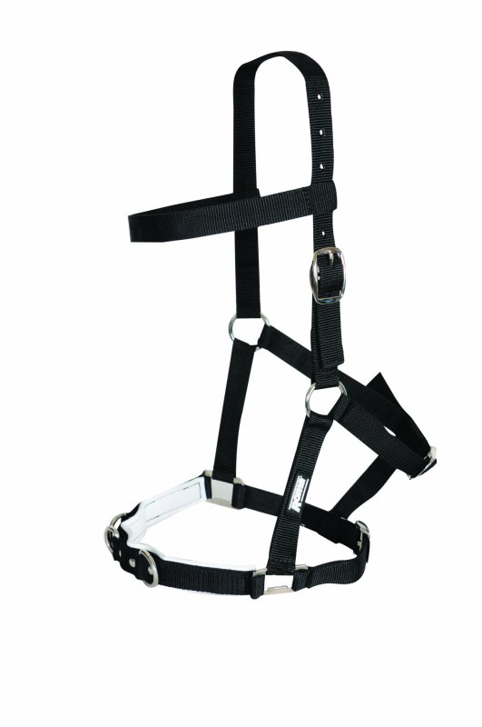 Kincade Nylon Padded Lunge Cavesson Kincade Nylon Padded Lunge Cavesson