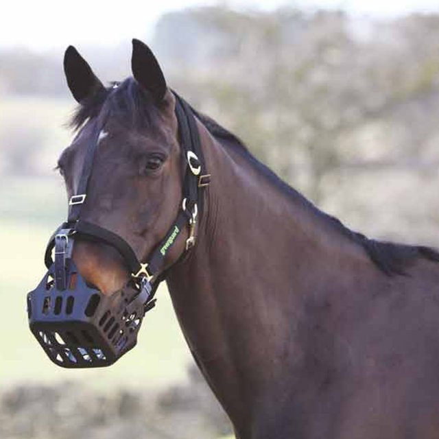 Shires Shires Greenguard Headcollar