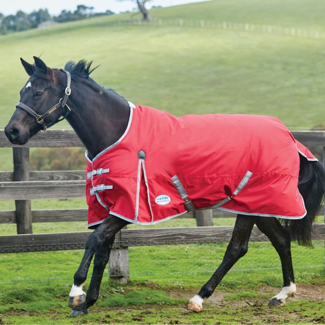 Weatherbeeta Horse Rugs WeatherBeeta ComFiTec Classic Standard Medium Red Horse Turnout Rug