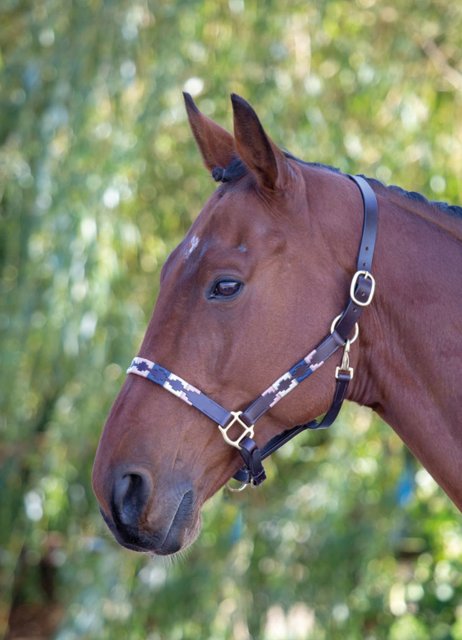 Velociti Gara Velociti Gara Leather Polo Headcollar