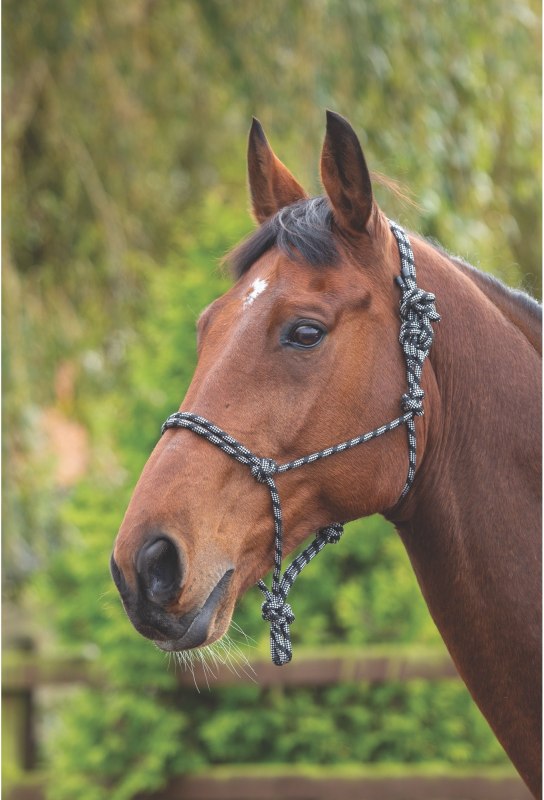 Shires Rope Control Headcollar Shires Rope Control Headcollar